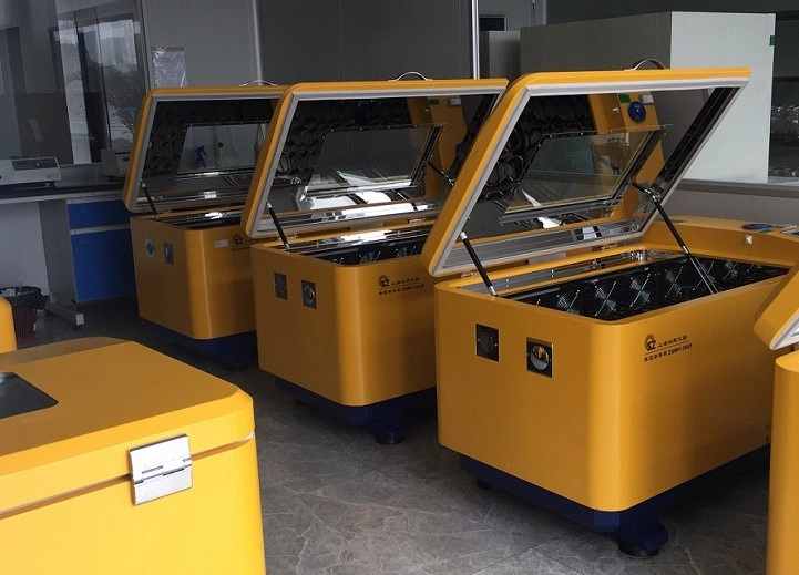 7 Factors That Affect Cell Growth 7 Factors That Affect Cell Growth