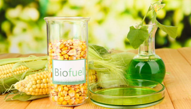 General Lab Equipment in Industry & Environmental Protection